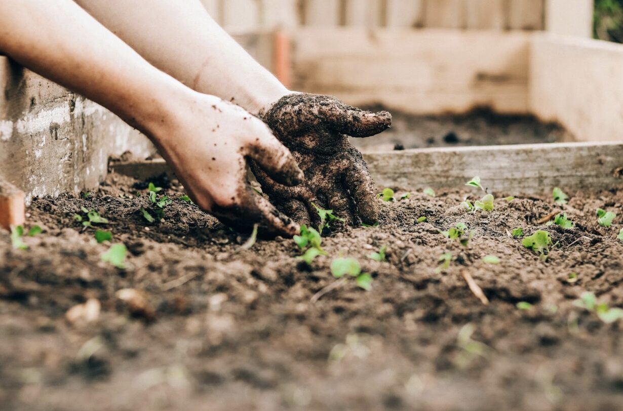 How To Get Your Garden Ready For The Summer